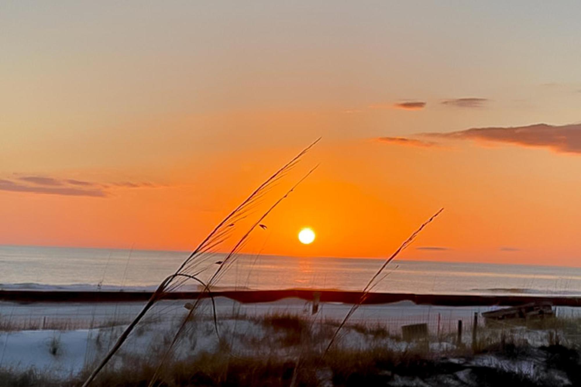 Dunes Of Panama Condos Panama City Beach Bilik gambar